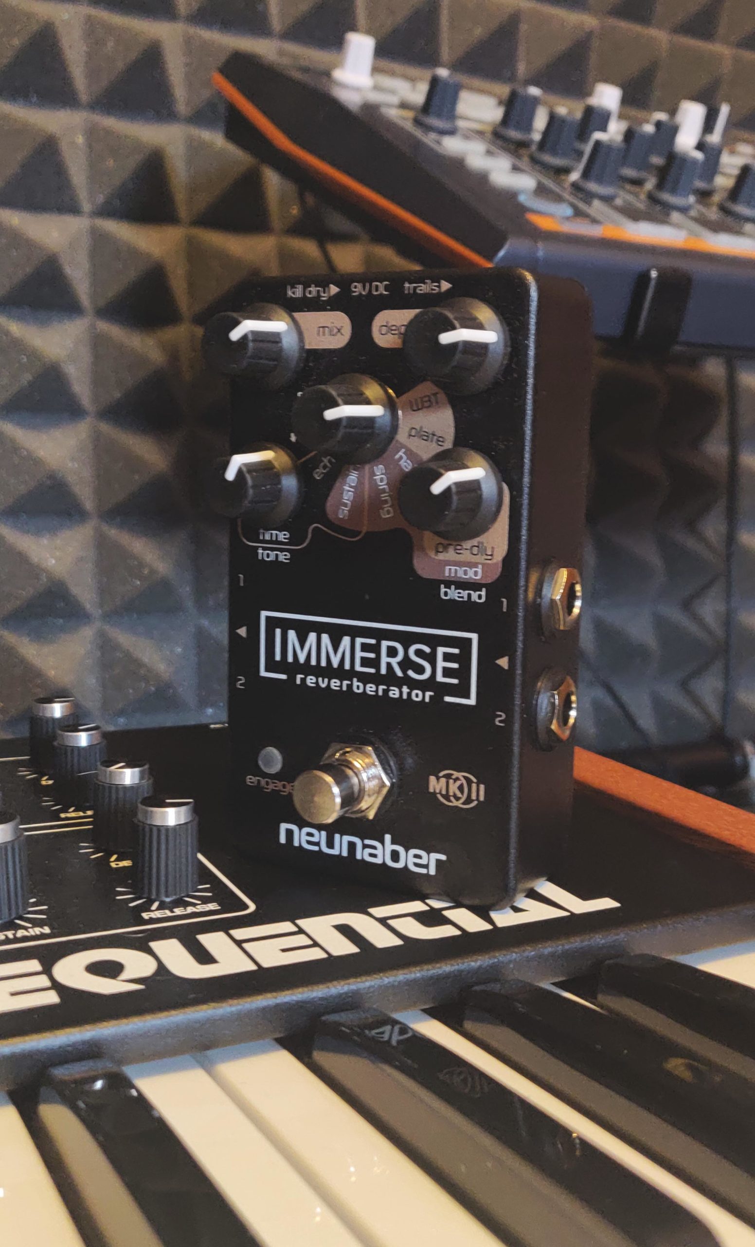 Neunaber Immerse Reverberator MkII_2